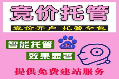 案例分析：SEM推广助力行业竞争突围